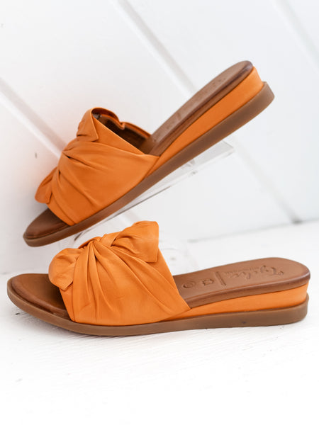Sassy Orange by Tyche