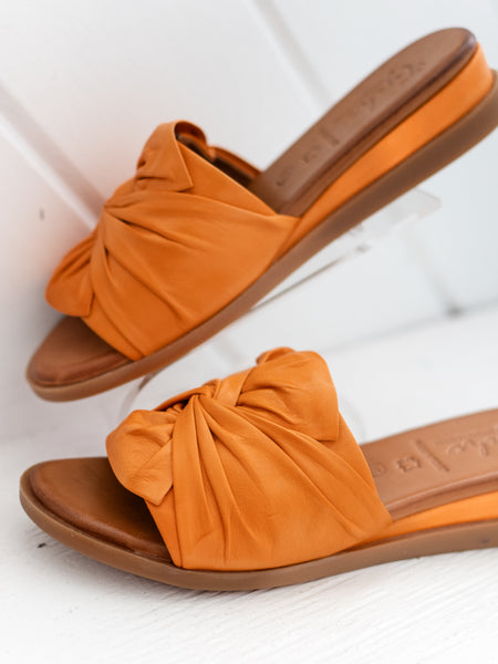 Sassy Orange by Tyche