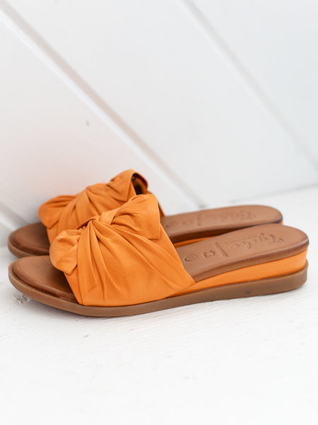 Sassy Orange by Tyche