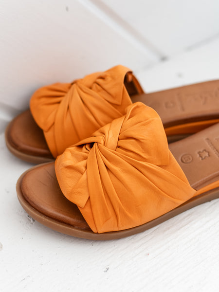 Sassy Orange by Tyche