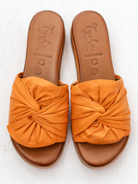 Sassy Orange by Tyche