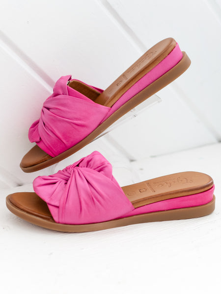 Sassy Fuchsia by Tyche
