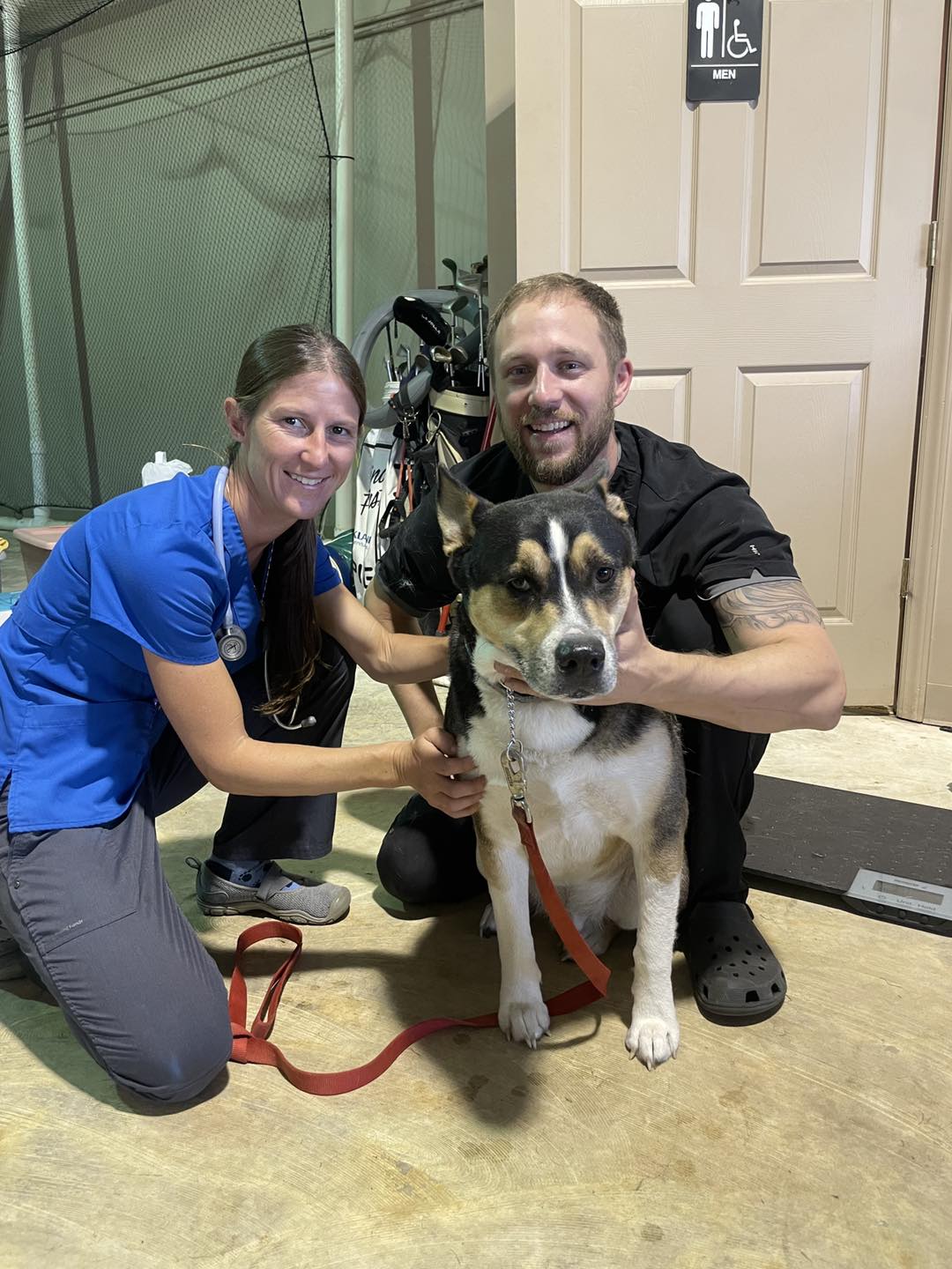 Business  Spotlight: Austin Veterinary Outreach and Rescue (AVOR)