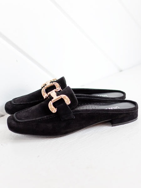 Shaine Black Suede by Vaneli