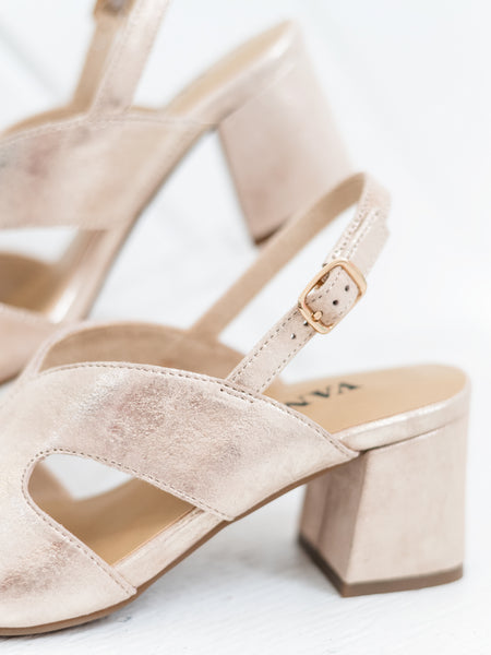 Daffy Champagne by Vaneli