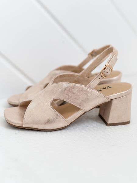 Daffy Champagne by Vaneli
