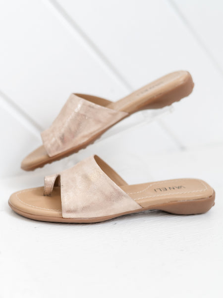 Tallis Champagne Lisa by Vaneli