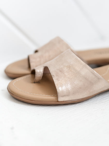 Tallis Champagne Lisa by Vaneli