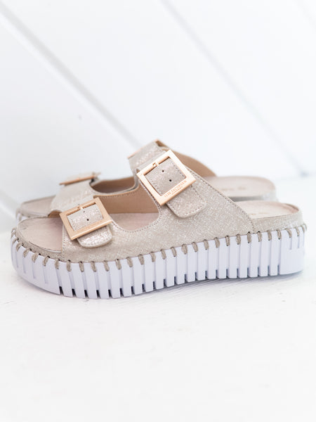 Tulip 1032-7101 by Ilse Jacobsen