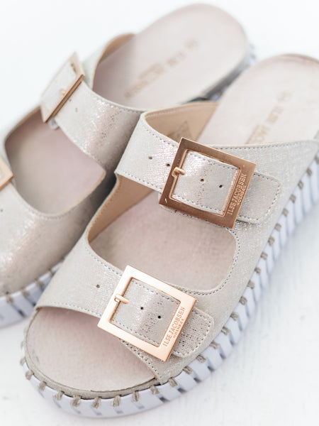 Tulip 1032-7101 by Ilse Jacobsen